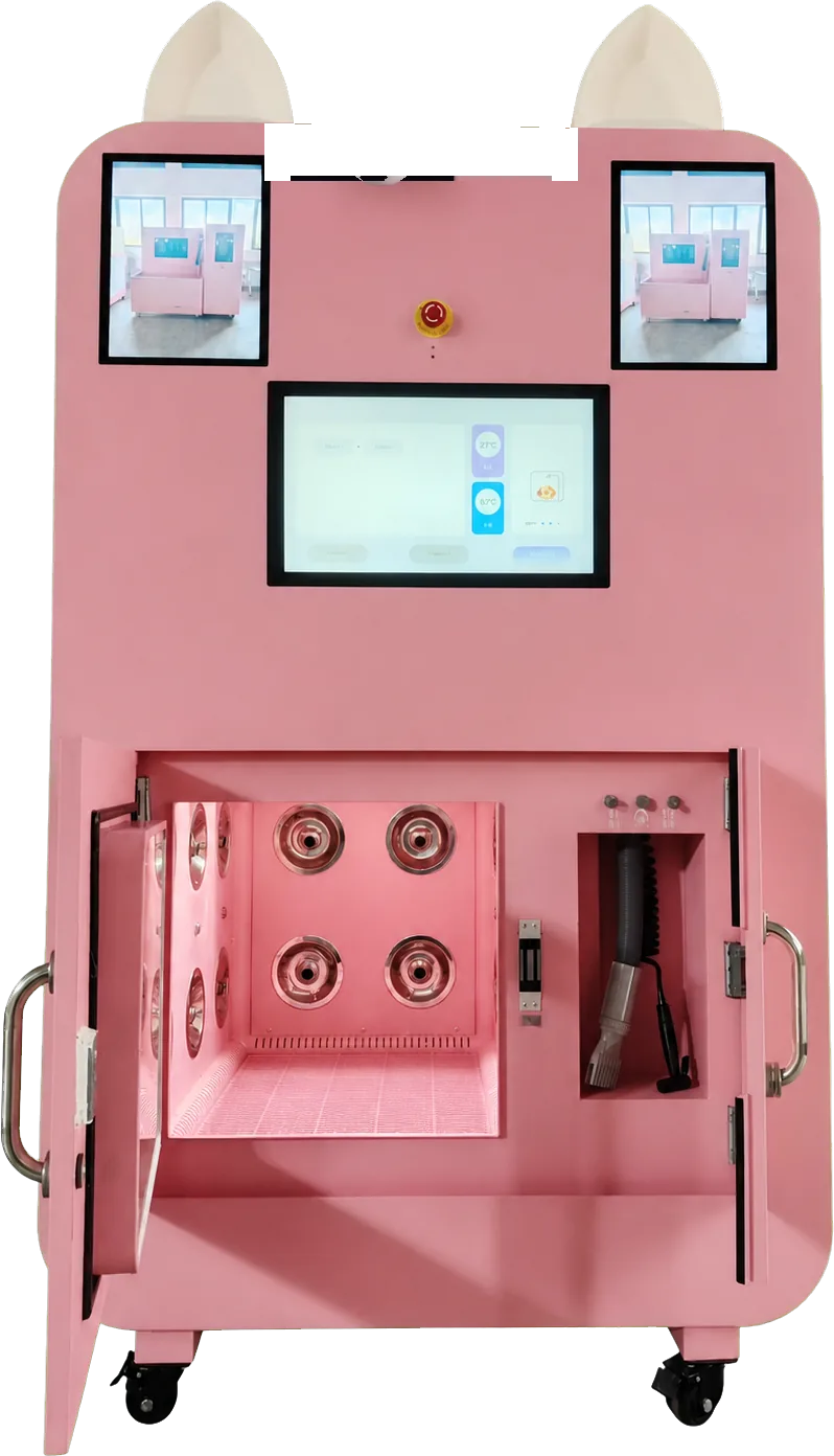 Porte principale ouverte, cabine de lavage vue depuis l’avant
