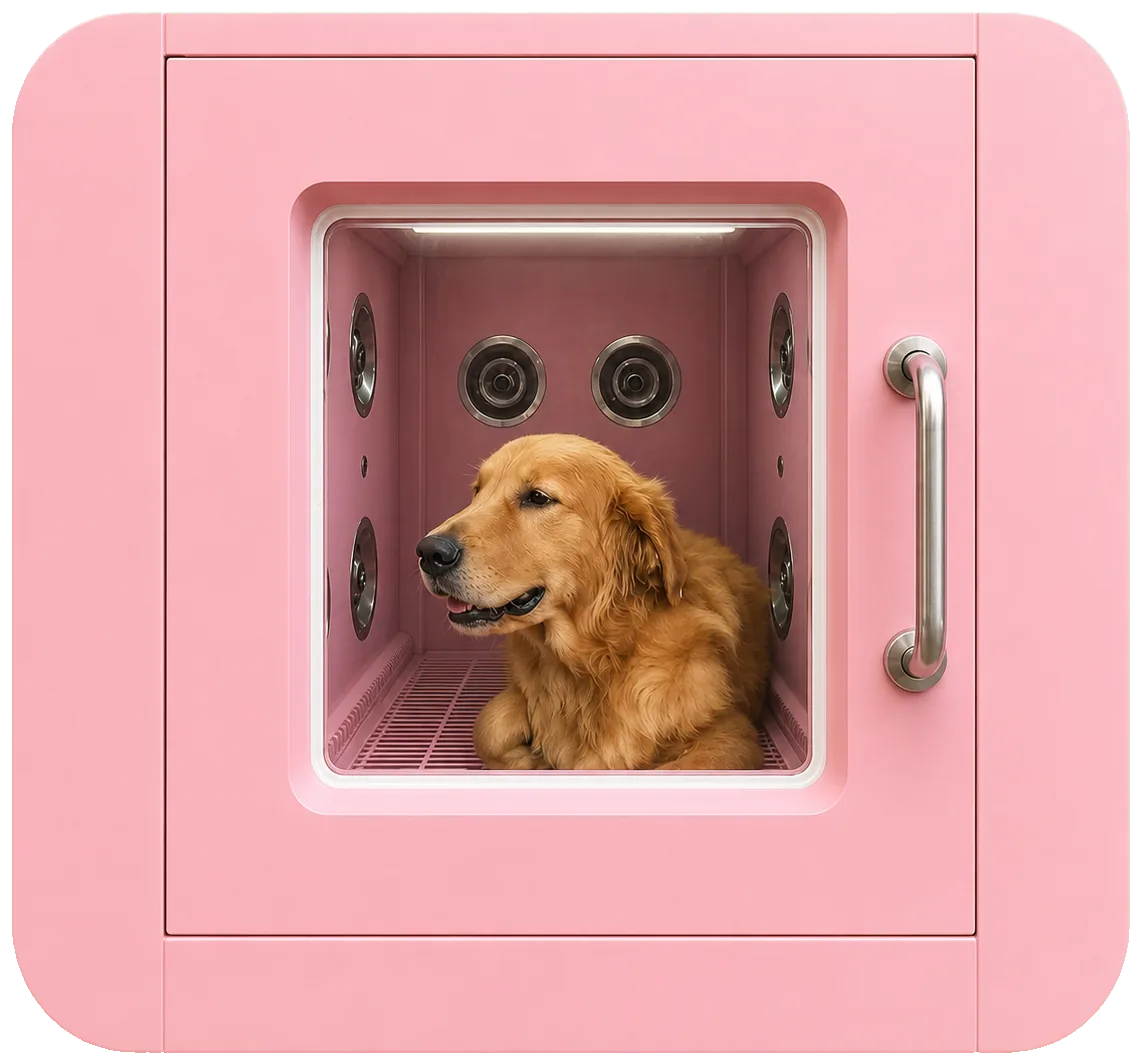Hund in der Waschkabine, vom Halter durch das Sichtfenster der Tür zu sehen